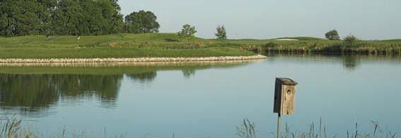 Golf course pond with birdhouse, reflecting green landscape for Providence's Moran Golf Classic.